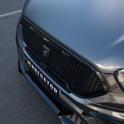 Predator Mesh Grille with LEDs for Ford Transit Custom 2018-2023